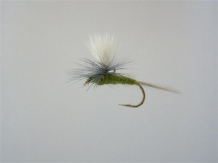 Size 12 BWO Parachute